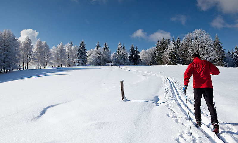 Langlauf - Skifahren in Bayern